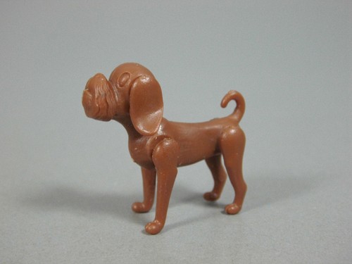 Animaux compagnie chiens - animaux, de
