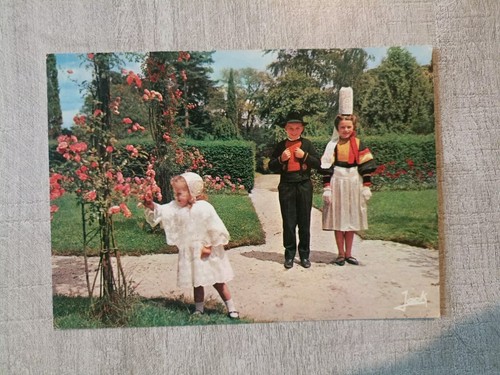 Carte postale cpm bretagne - carte,