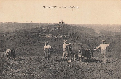 Mauvezin vue générale cpa - 65,