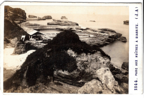 Photo cdv digue gamaritz - cdv,