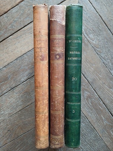 Chenu encyclopédie - chenu,,