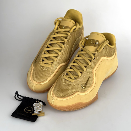 Nike lebron honor society - nike,