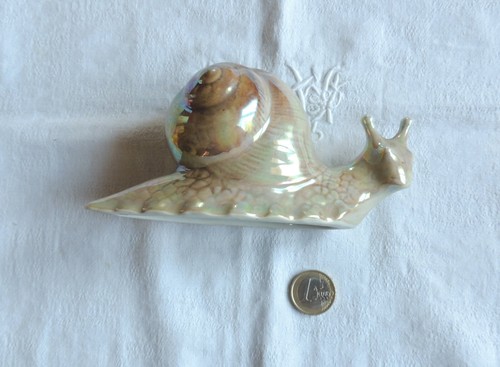 Vintage snail superbe ancien - /,