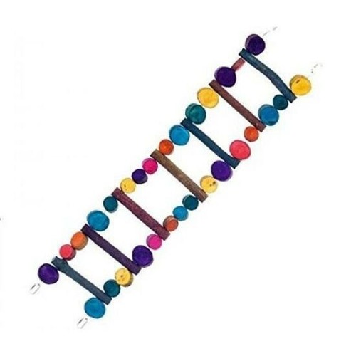 Echelle perroquet caracas - echelle,