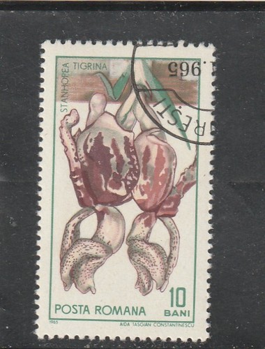 L6022 roumanie timbre y - timbre, n°