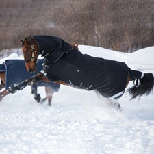 Horseware Amigo Super Bravo Plus Medium 250g - Noir