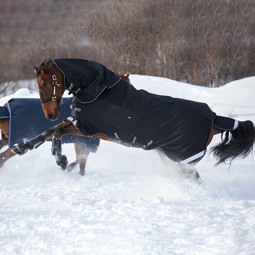 Horseware amigo super - horseware, bravo