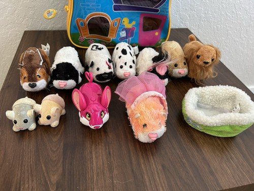 Nine zhu pets - zhu, hamsters