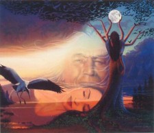 Johannus Boots - The Dreaming