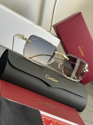 Lunette cartier homme - lunette,