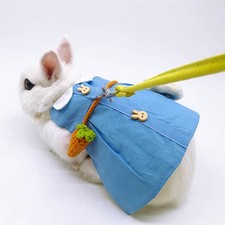  Accessoires Pour Lapin