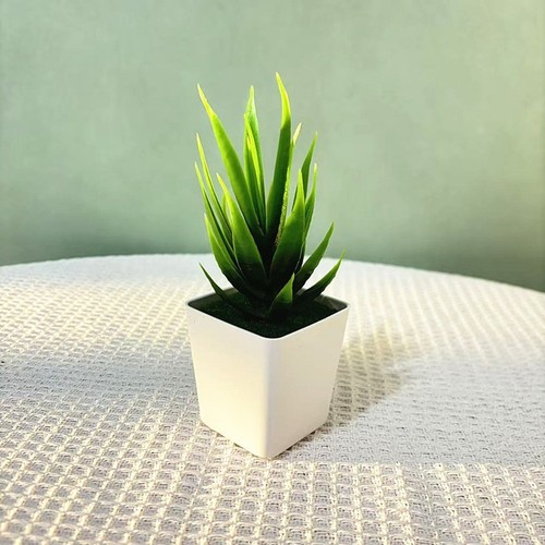 Fausse plante pot - en,