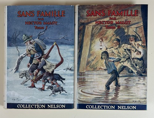 Hector malot sans famille - sans,