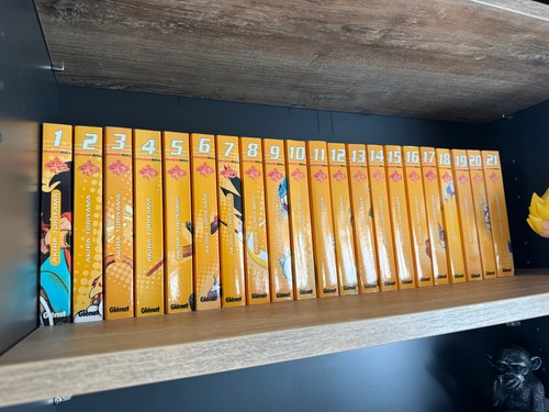 Lot livres mangas dragon - livres,
