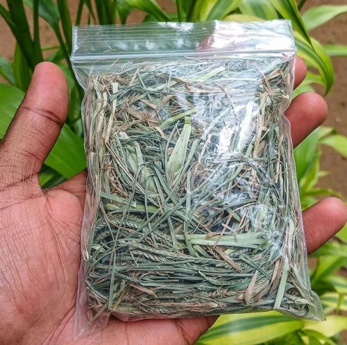 Ayurvedic dry paragis - ayurvedic,