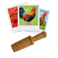 Appeau - Oiseau - Coq - Imiter