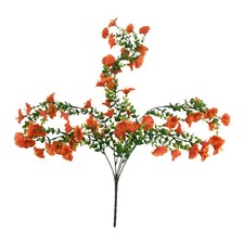 Plante suspendue fausse gloire