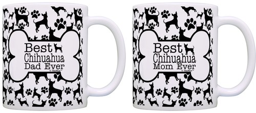 Best chihuahua mom dad - chihuahua, ever