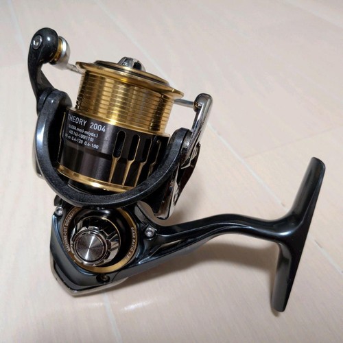 Daiwa theory 2004 - 17,