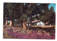 Carte postale ancienne – Maison Landaise typique Landes Aquitaine REF 2042