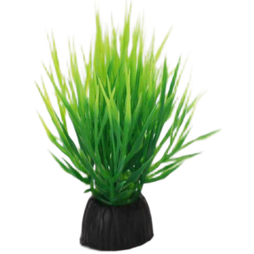Plantes aquarium - plantes, d'aquarium