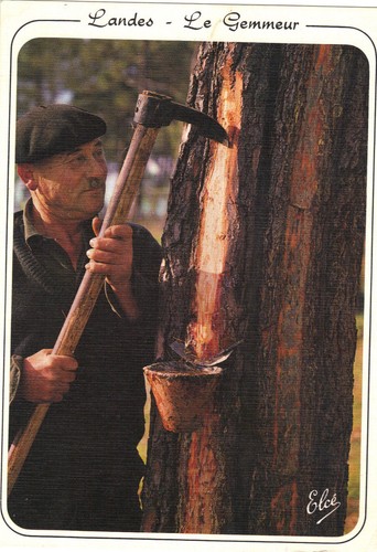 Les landes gemmeur - landes,