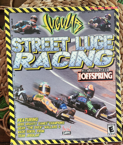 Street luge racing big box - luge,