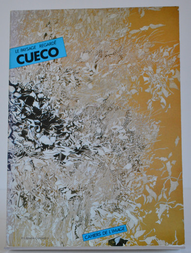 Paysage regardé cueco - paysage, regardé,