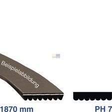 TOP Courroie De Distribution