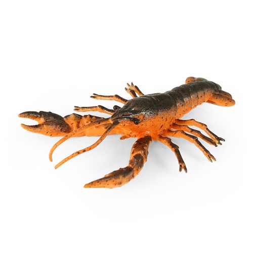 Homard caoutchouc cm - homard,