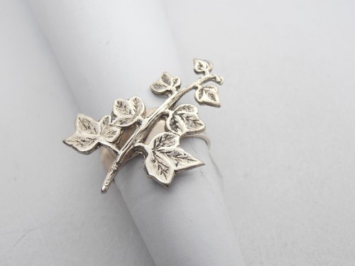 Branche avec feuilles - feuilles, de