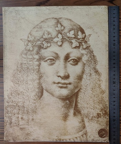 Dessin vinci giovane - dessin, bacco
