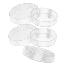  5 Pcs Glass Dish Set Boite