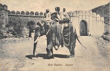 CPA INDE STATE ELEPHANT JEYPORE