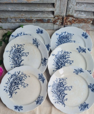 6 ANCIENNES ASSIETTES ONNAING PLATES TERRE DE FER  DECOR DE FLEURS DES CHAMPS