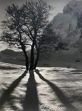 Hervé Butel, Photo de montagne, Photographie, XXe