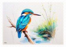 Tableau - Illustration  originale - Portrait  Martin Pêcheur