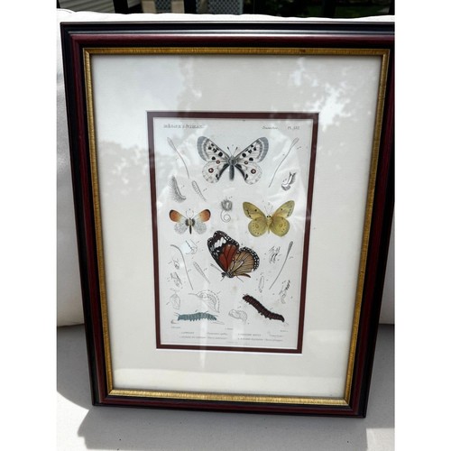 Antique copperplate engraving - antique,