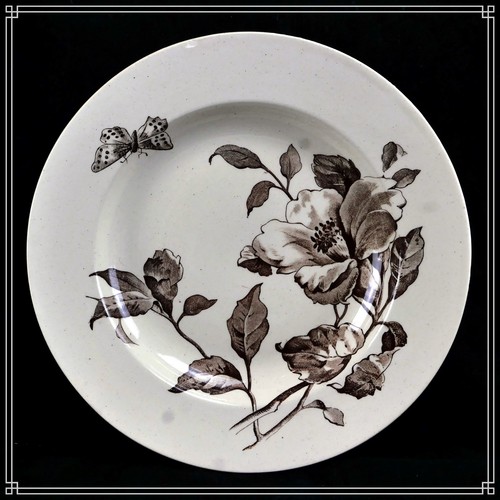 Bel ensemble assiettes - bel, 5