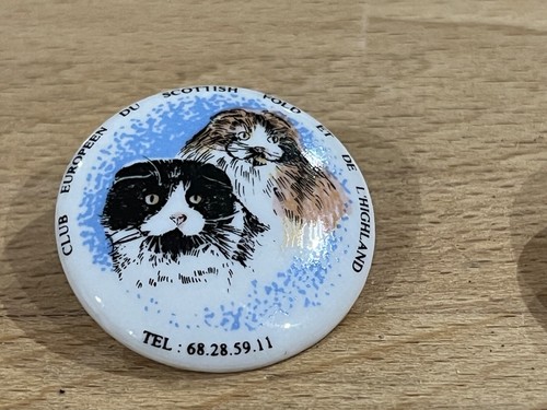 Pins pin animaux - animaux, cat