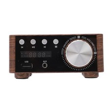 Digital Audio Amplifier Small
