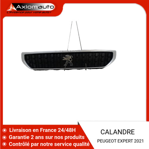 Calandre peugeot - 🇫🇷,