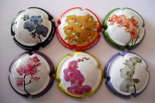 Série de 6 capsules de champagne FONTAINE SALOME  "les orchidées" n° 7 à 7e