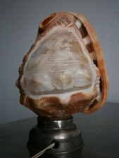 Lampe Coquillage gravé St