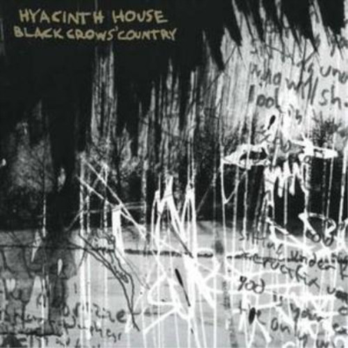 Hyacinth house black crows - house,