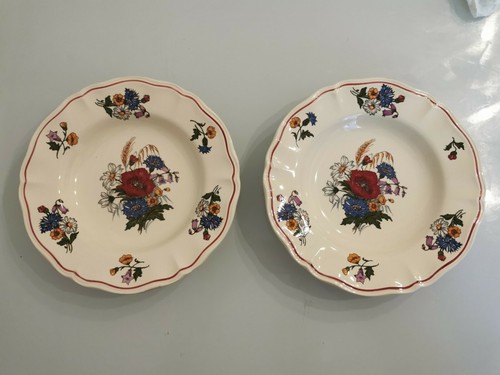Paire assiettes agreste - assiettes,