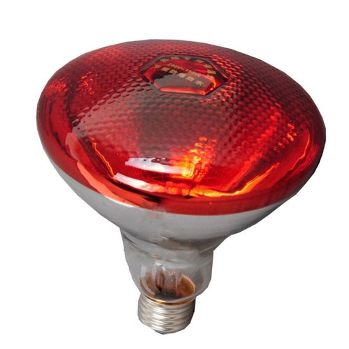 Lampe chauffante brooder - brooder, avec