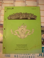 manuel de flipper Williams:  HURRICANE