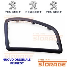 PEUGEOT 307 Cadre Airbag