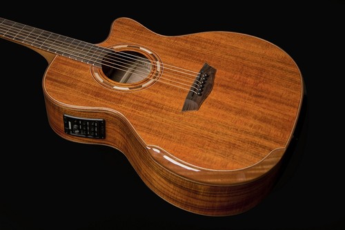 Washburn wcg55ce comfort - washburn,